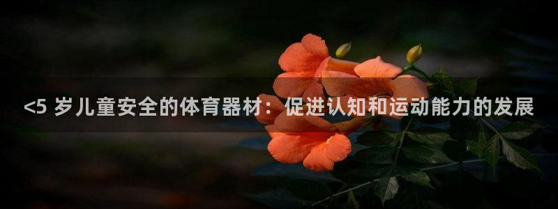 星欧娱乐是正规平台吗安全吗：<5 岁儿童安全的体育器