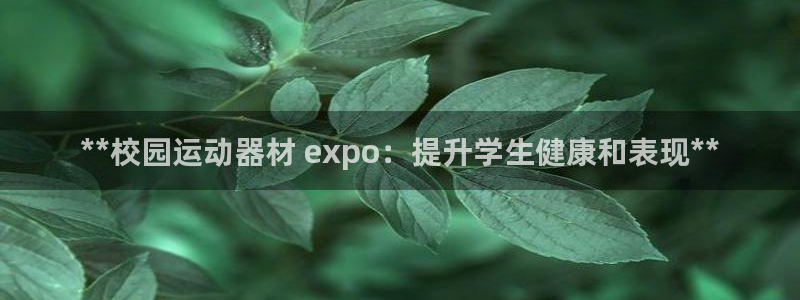 星娱乐online创作的原声胡歌吴磊：**校园运动器