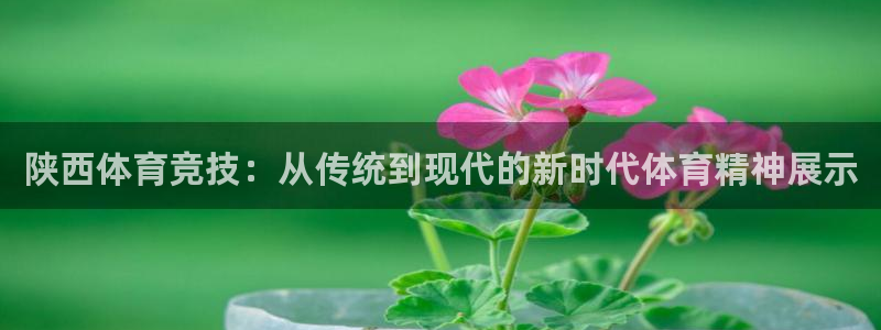 星欧娱乐扣款流程详解视频教程