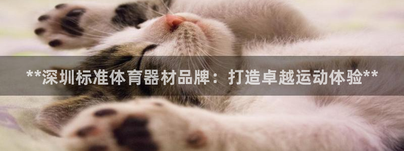 星欧娱乐官方客服联系方式电话：**深圳标准体育器材品牌：打造