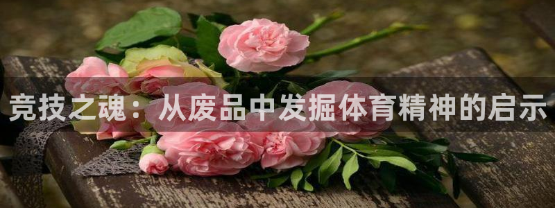 星欧娱乐扣款