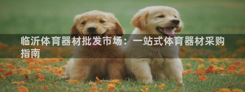 星欧娱乐属于什么档次的软件：临沂体育器材批发市场：一站式体育 