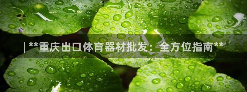 星欧娱乐扣款时间查询方法：| **重庆出口体育器材批发：全方