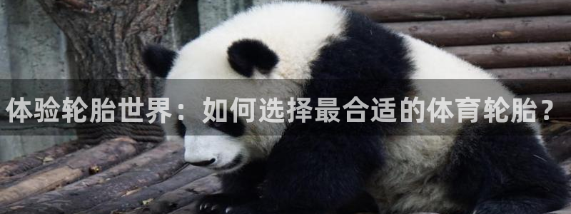 星欧娱乐公司怎么样