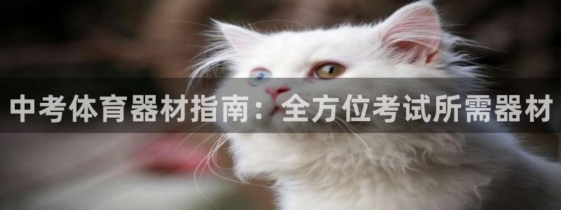 江苏星奥娱乐有限公司招聘：中考体育器材指南：全方位考试所需器