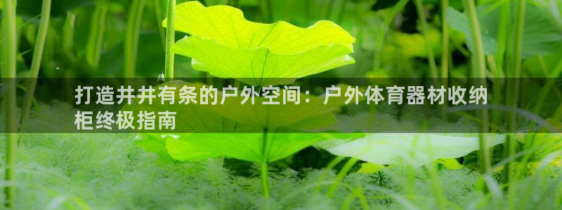 星奥娱乐待遇怎么样：打造井井有条的户外空间：户外体育器材收纳