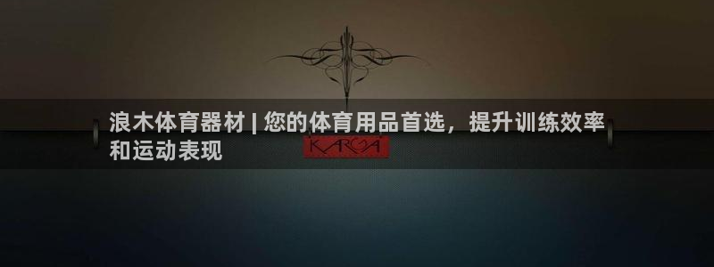 星欧娱乐最建议买的三个产品是什么：浪木体育器材 | 您的体育