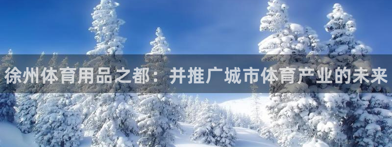 星奥娱乐集团：徐州体育用品之都：并推广城市体育产业的未来
