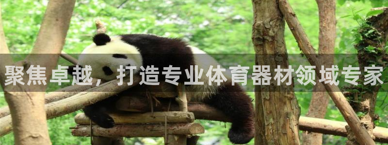 星欧娱乐v8.0.3最新版本更新内容介绍：聚焦卓越，