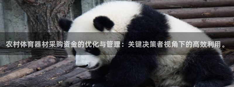 星奥娱乐集团股份有限公司官网：农村体育器材采购资金的