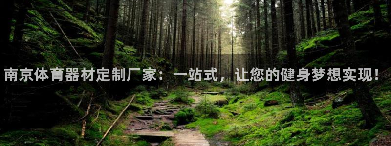 星欧娱乐最建议买的三个产品有哪些：南京体育器材定制厂