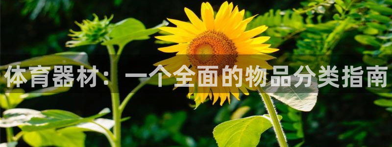 星欧娱乐挂机教程视频：体育器材：一个全面的物品分类指