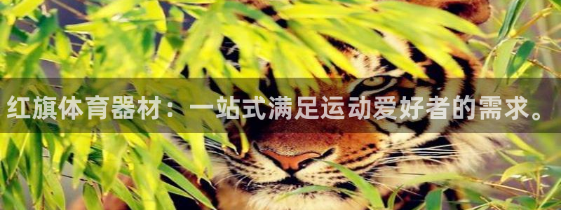 星欧娱乐平台测速线路怎么设置：红旗体育器材：一站式满足运动爱