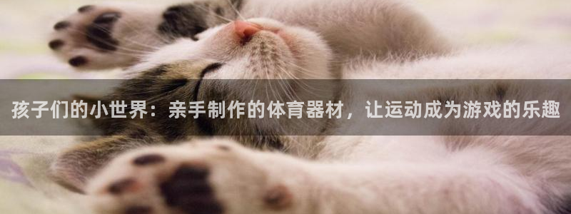 星欧娱乐挂机赚钱软件：孩子们的小世界：亲手制作的体育