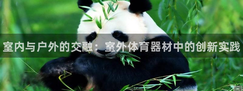 江苏星奥娱乐：室内与户外的交融：室外体育器材中的创新实践