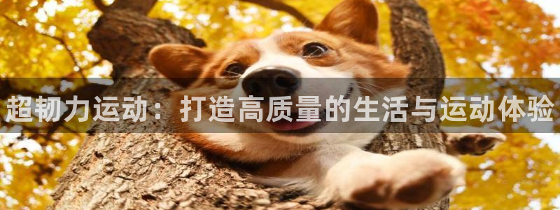星欧娱乐是正规平台吗：超韧力运动：打造高质量的生活与运动体验 