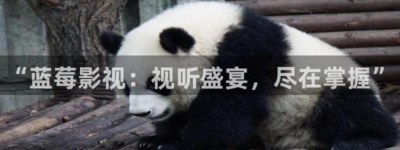 小小影片