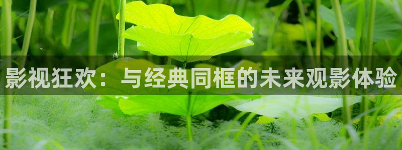 小小影视在线观看免费播放电视剧