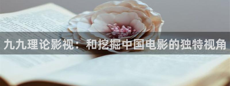 小小影视大全免费高清版：九九理论影视：和挖掘中国电影的独特视角