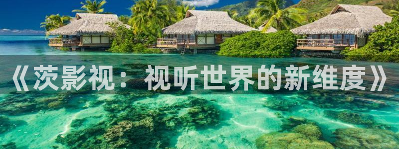 小小影视免费高清电视剧：《茨影视：视听世界的新维度》