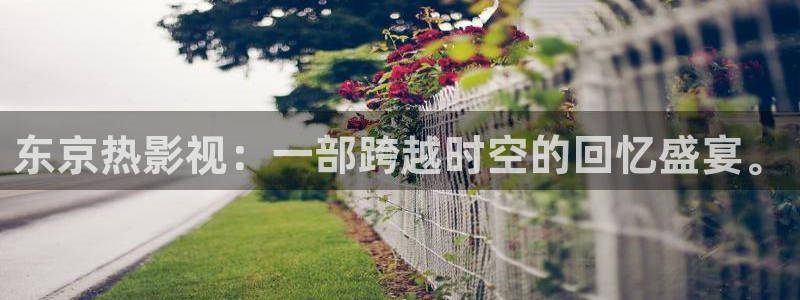 小小影视大全免费观看：东京热影视：一部跨越时空的回忆盛宴。